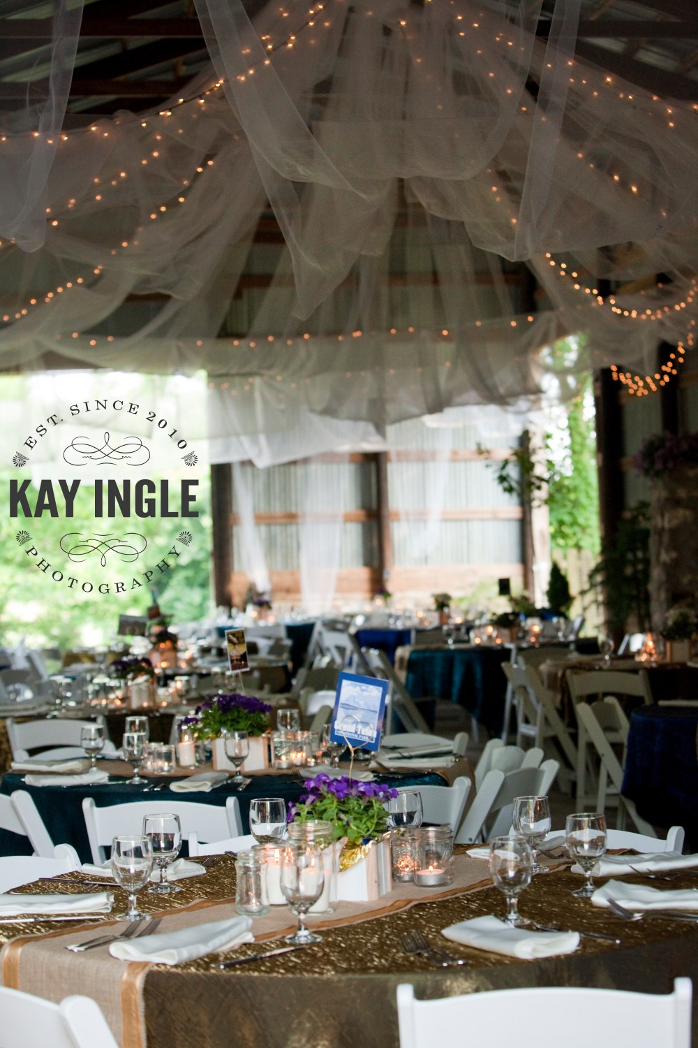 newalbanyweddingphotographerkayingle1050